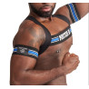 Mr B - Mister B Brassards Biceps Urban Club Bleu x2